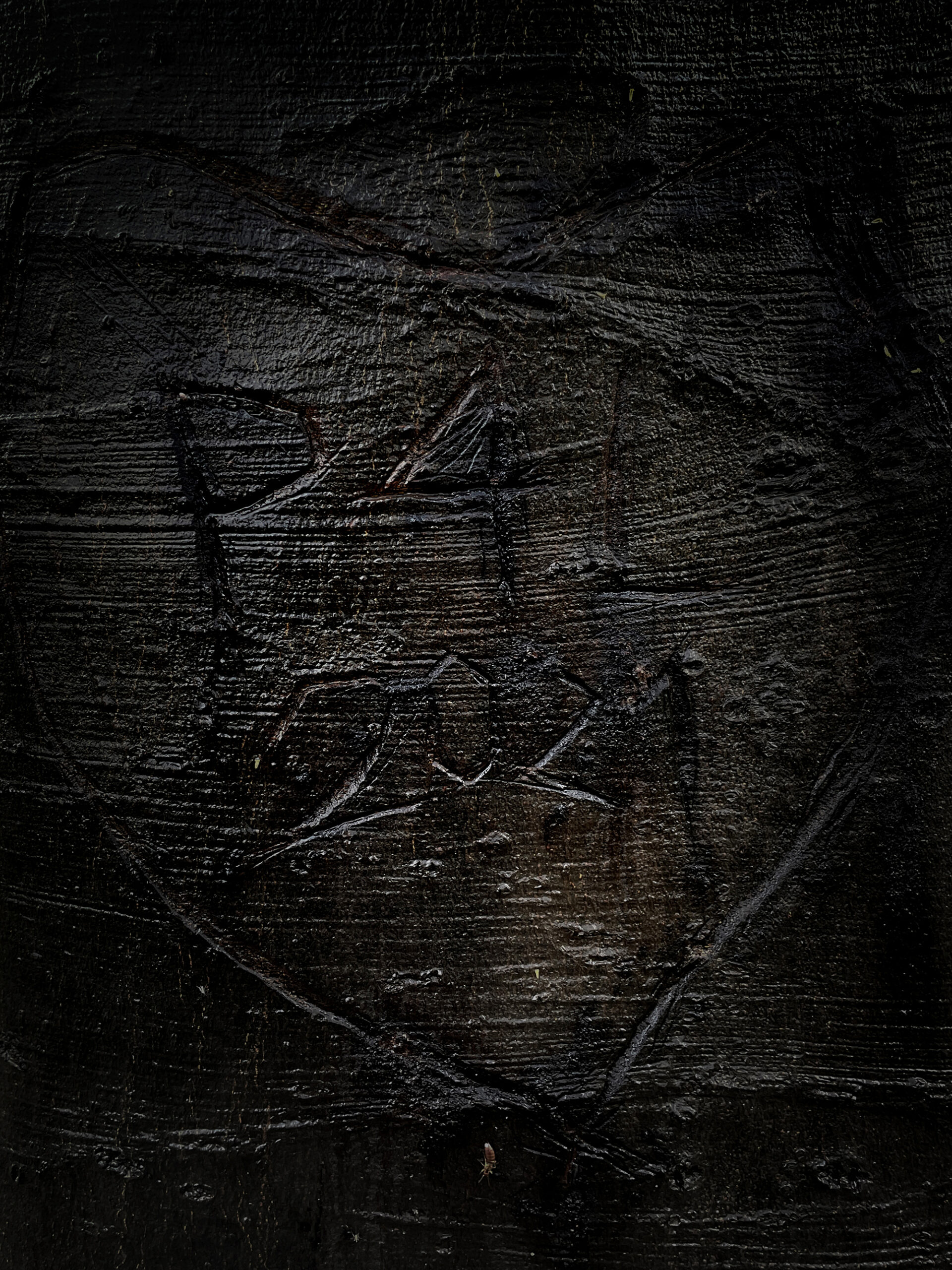 P+L - 5315 pixels / 7087 pixels