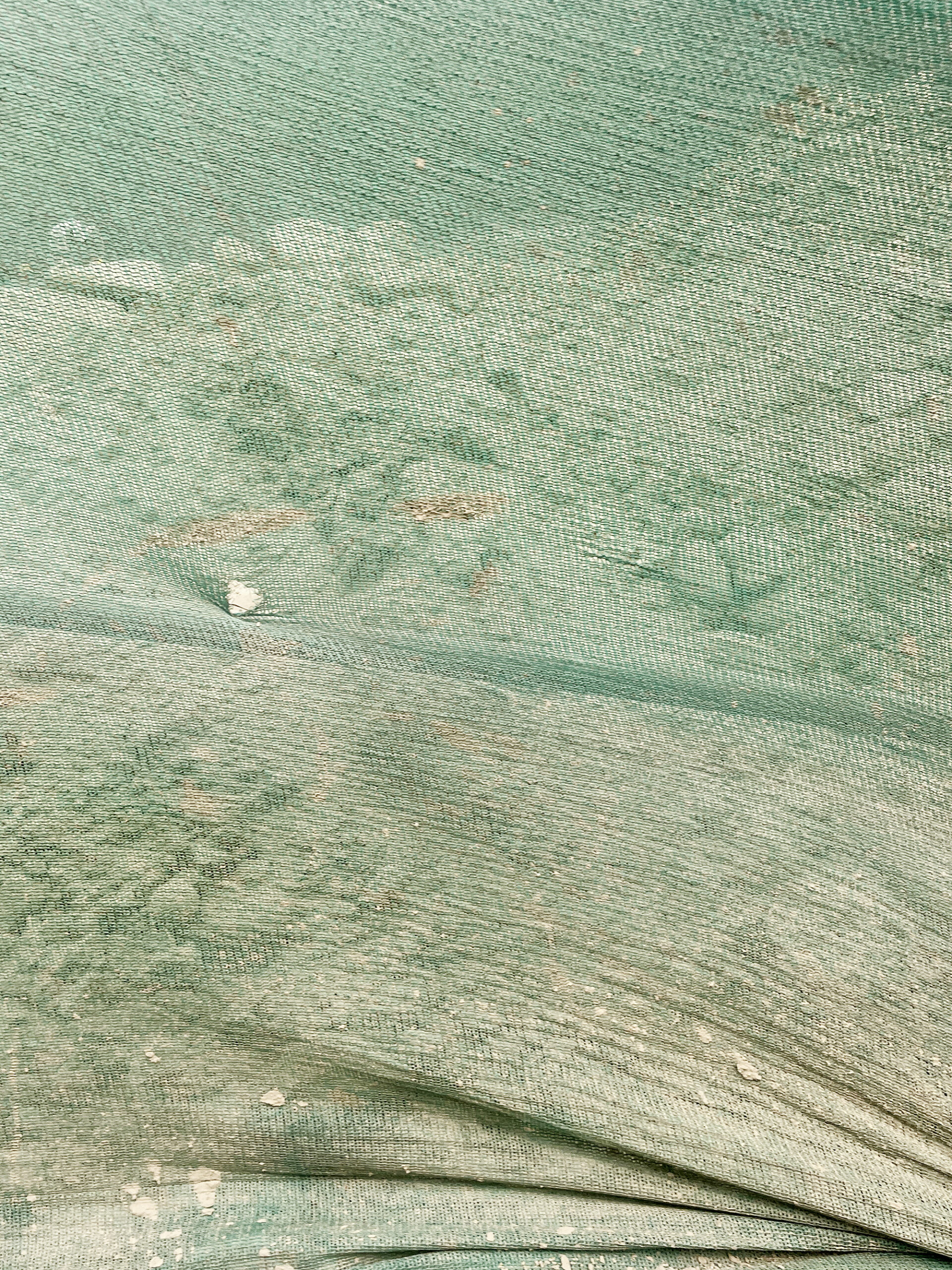 11 / 5315 pixels - 7087 pixels