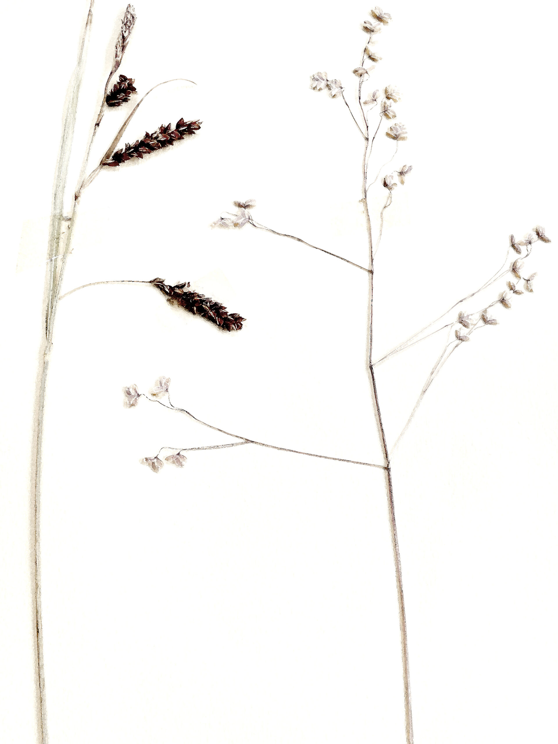 10 / 5315 pixels - 7087 pixels