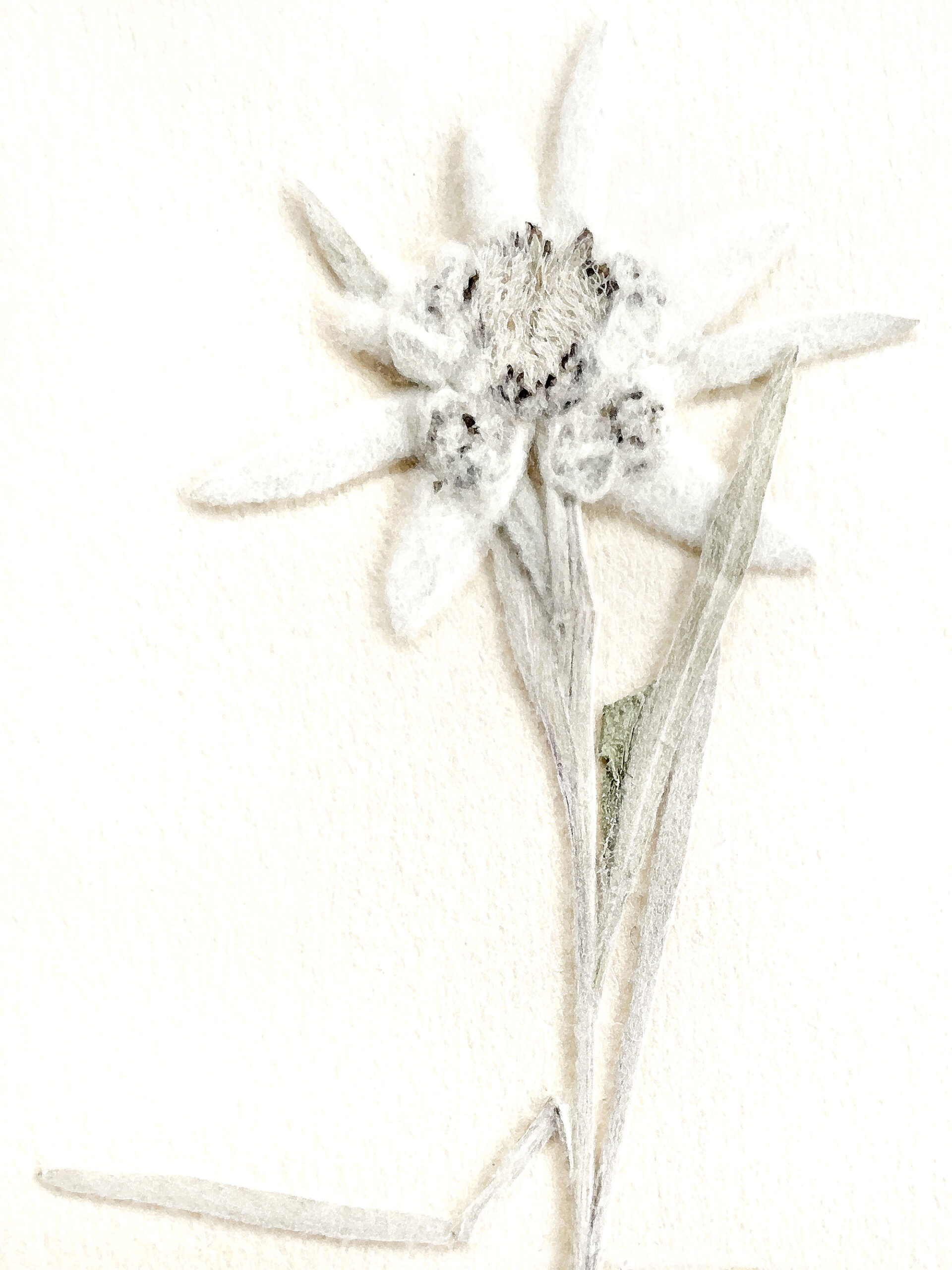 12 / 5315 pixels - 7087 pixels