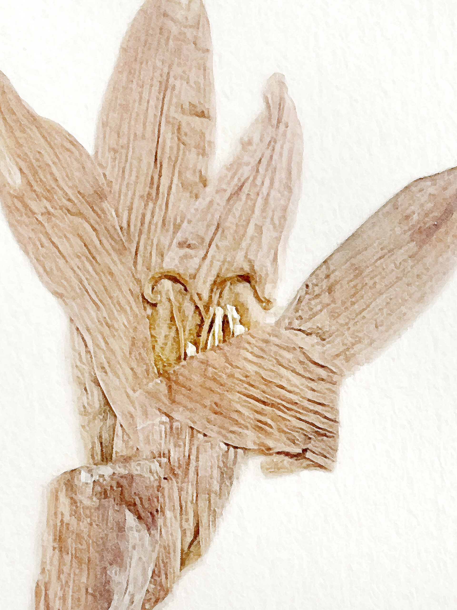 13 / 5315 pixels - 7087 pixels