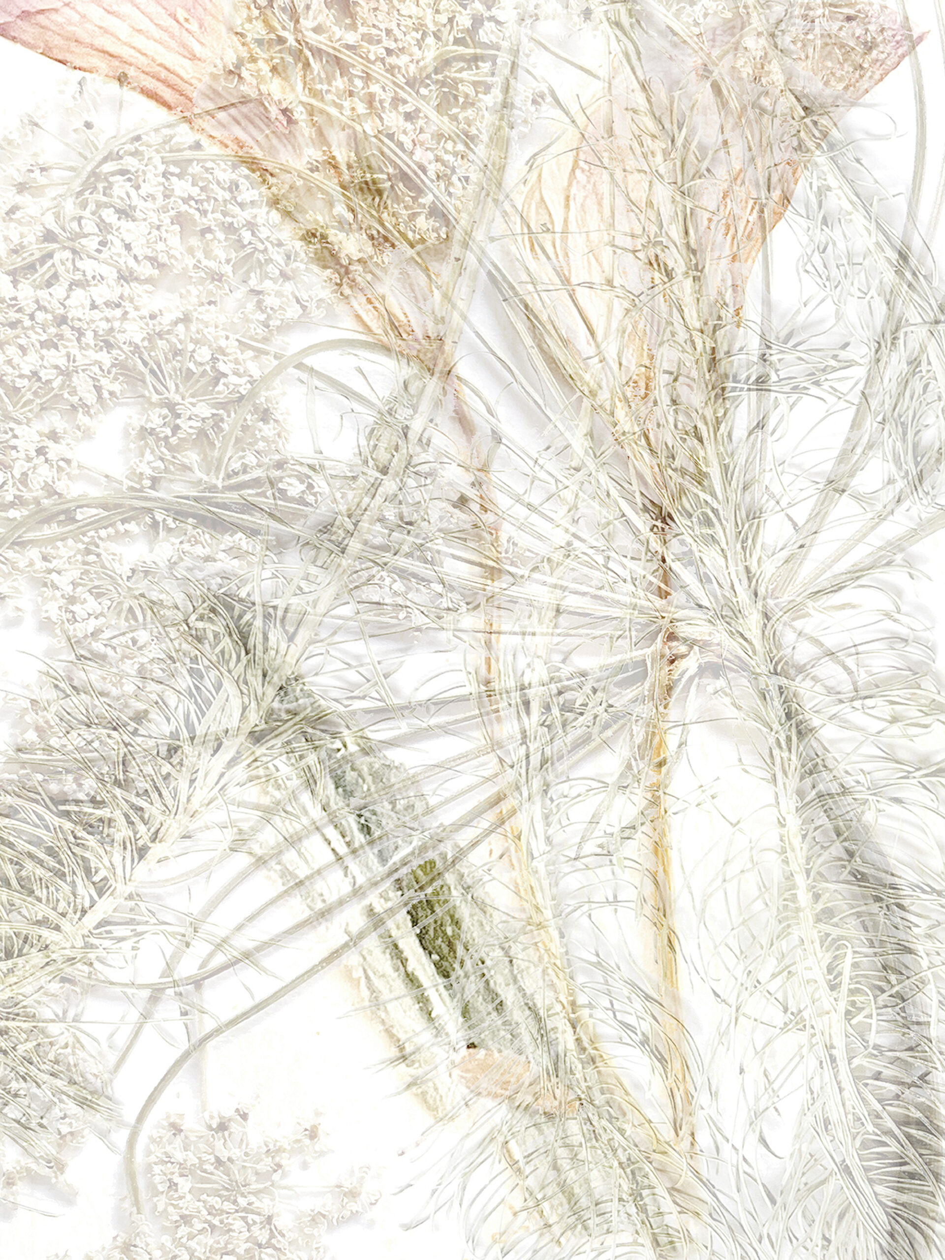 20 / 5315 pixels - 7087 pixels