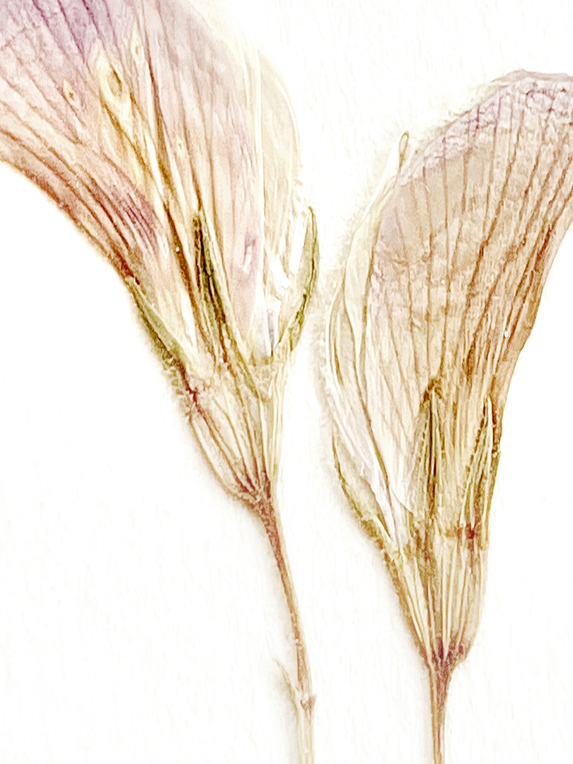 21 / 5315 pixels - 7087 pixels