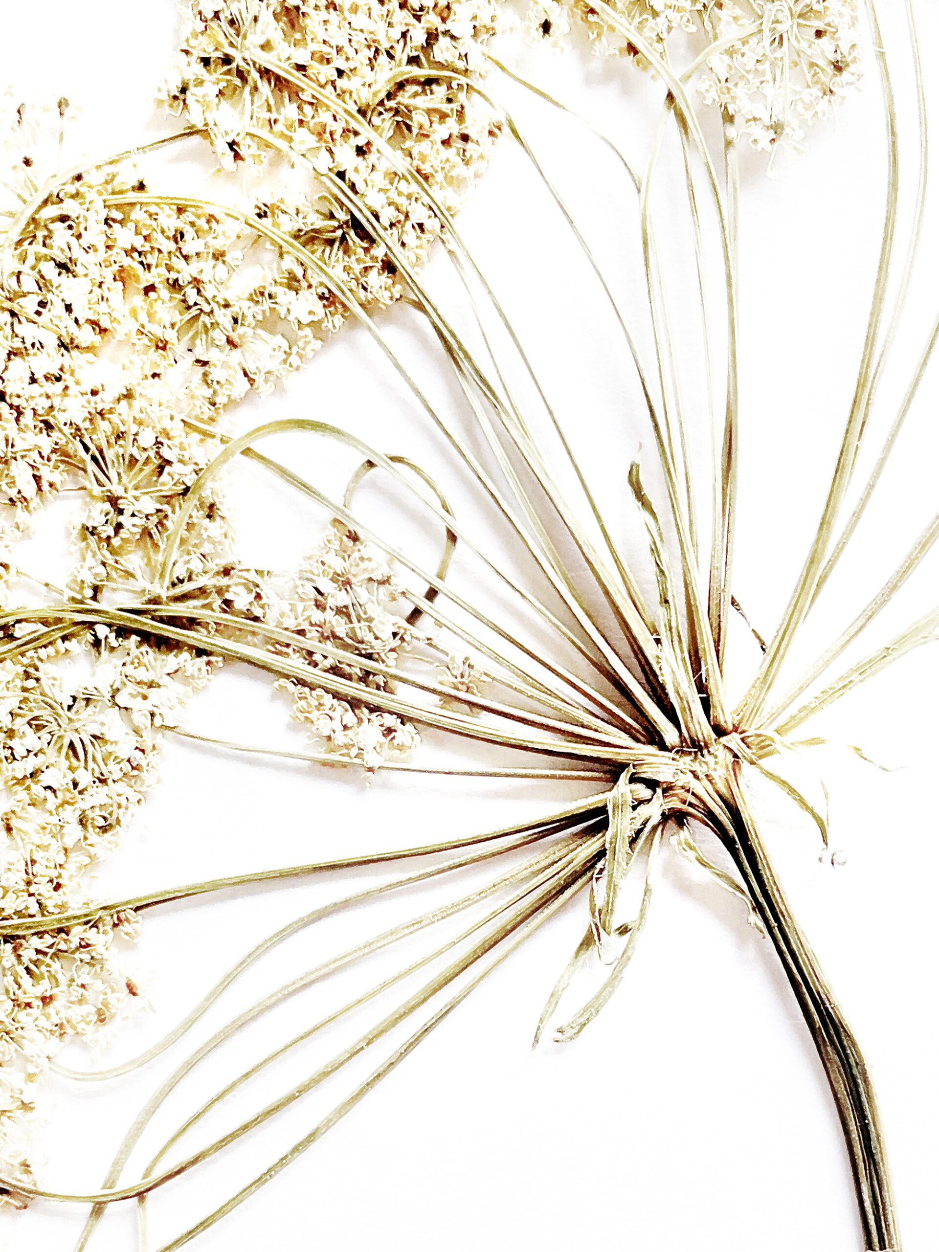 22 / 5315 pixels - 7087 pixels