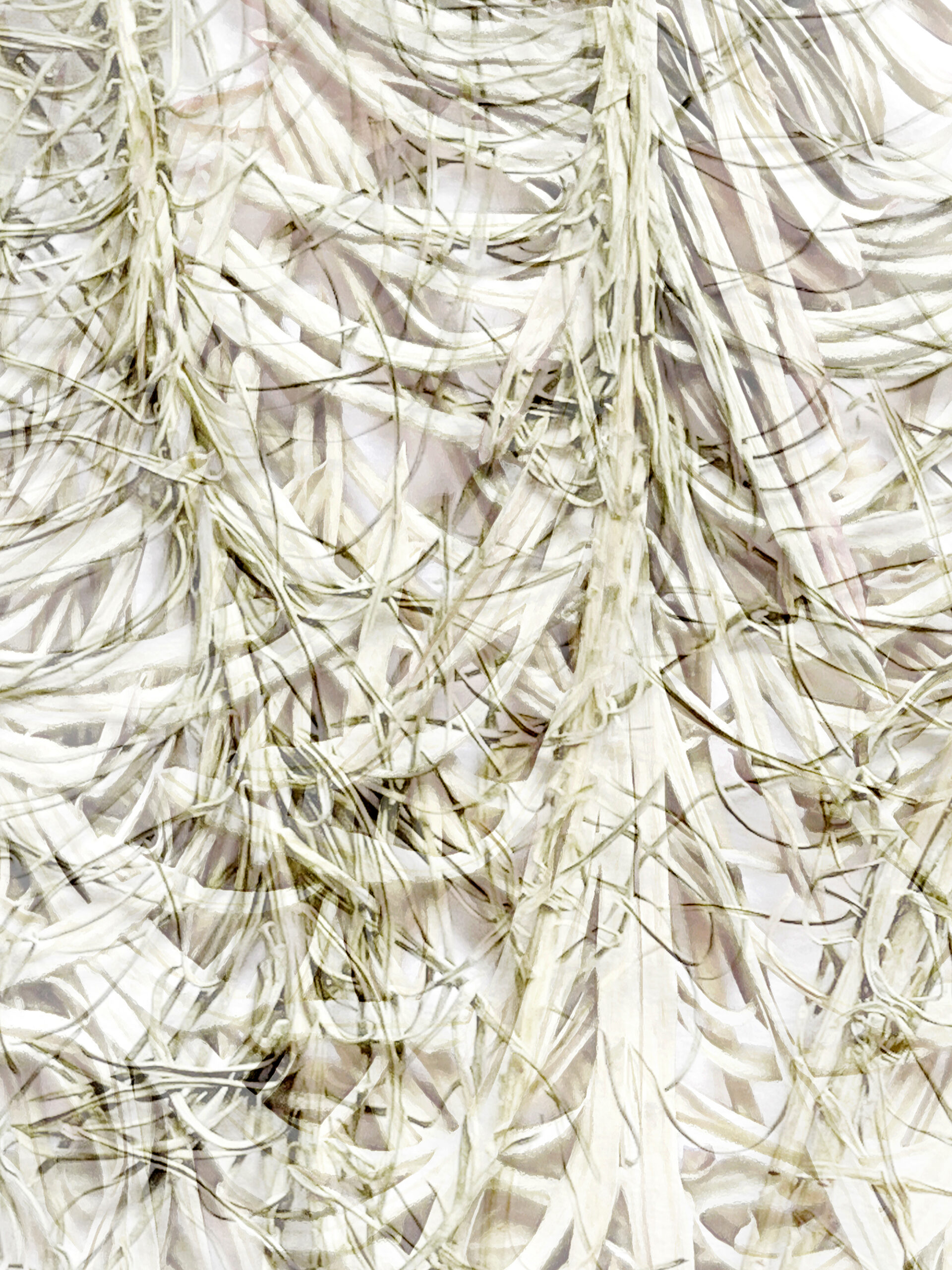 26 / 5315 pixels - 7087 pixels