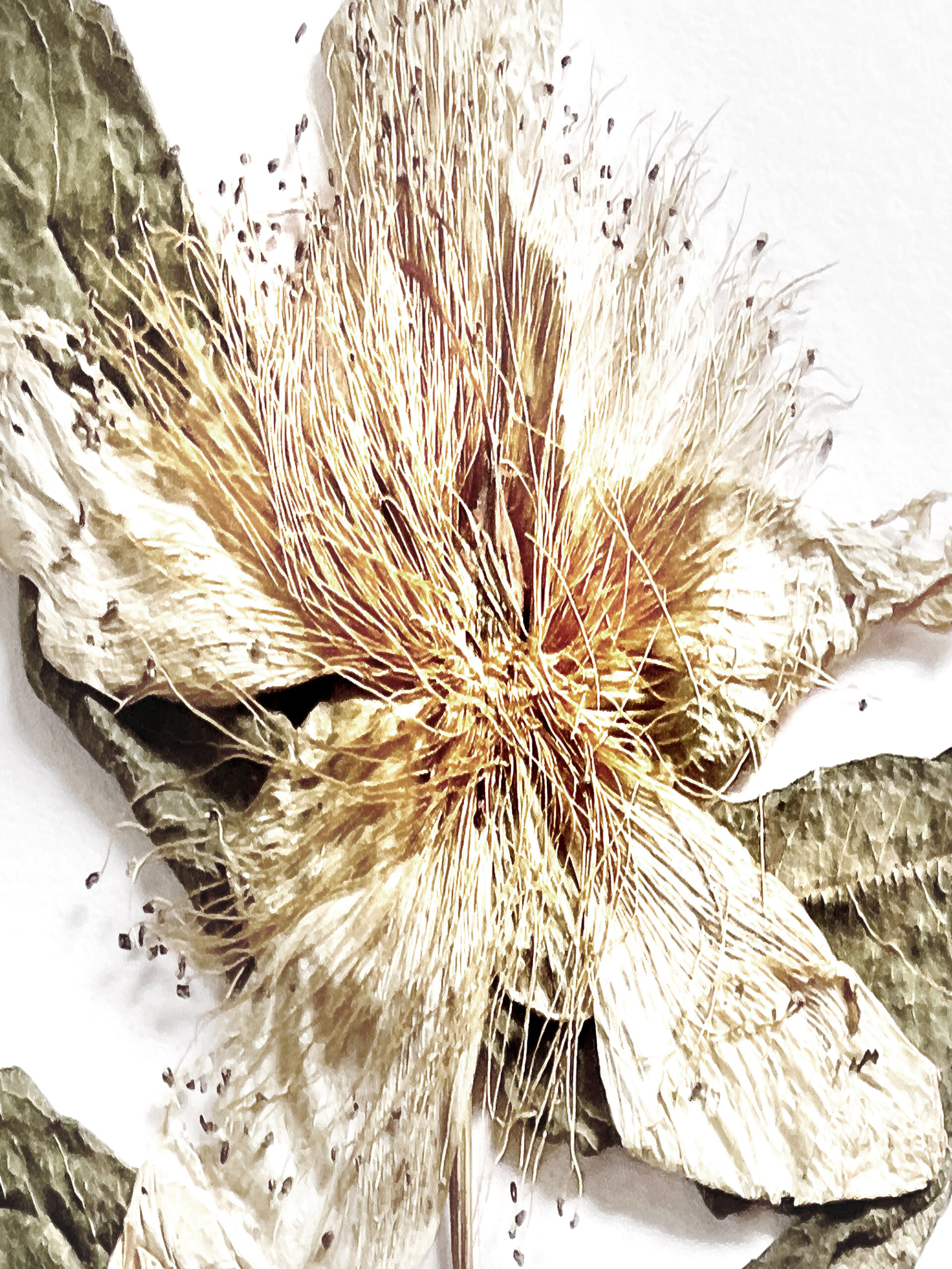 3 / 5315 pixels - 7087 pixels